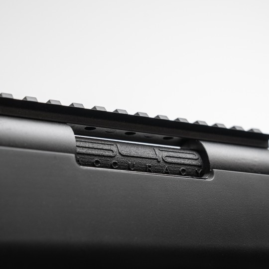 Model TEN [542 Accuracy] | Sniper Ultra Silenzioso VSR (Anteprima)